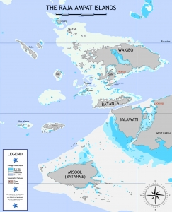 Raja Ampat ou l’archipel des Quatre Rois