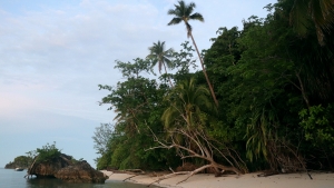 Activité plage à Yellit Beach