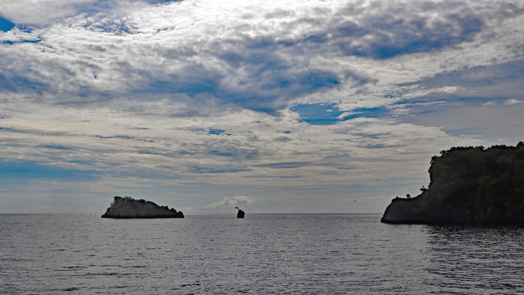 0a IMG_8288+ 27.09.24 7h49