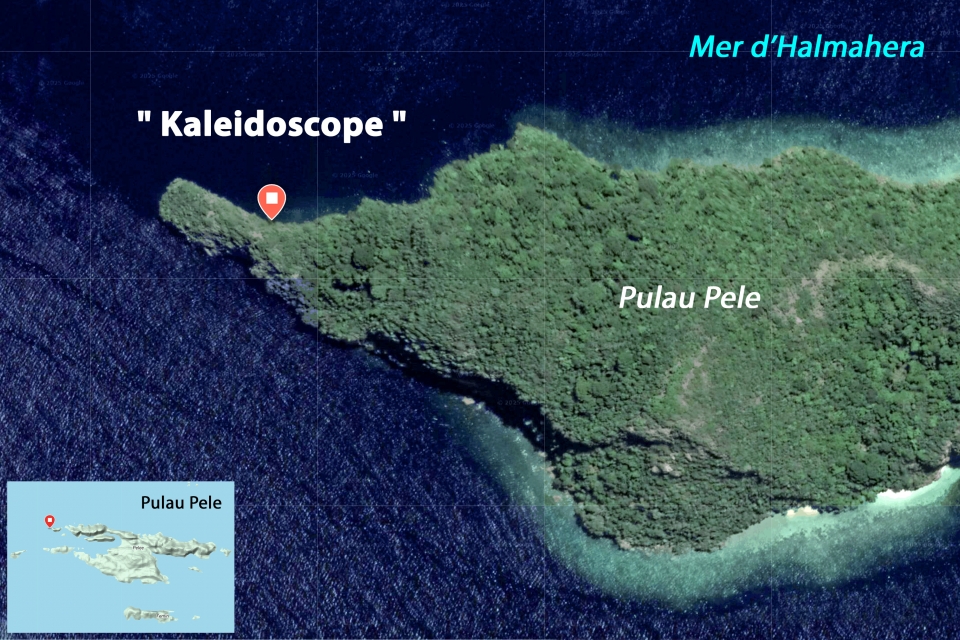 Spot " Kaleidoscope "