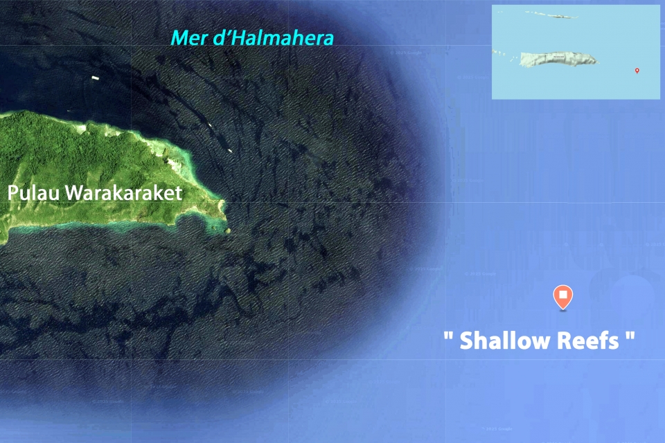 Spot " Shallow Reefs "