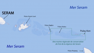 0c Too many fish, Seram, Moluques