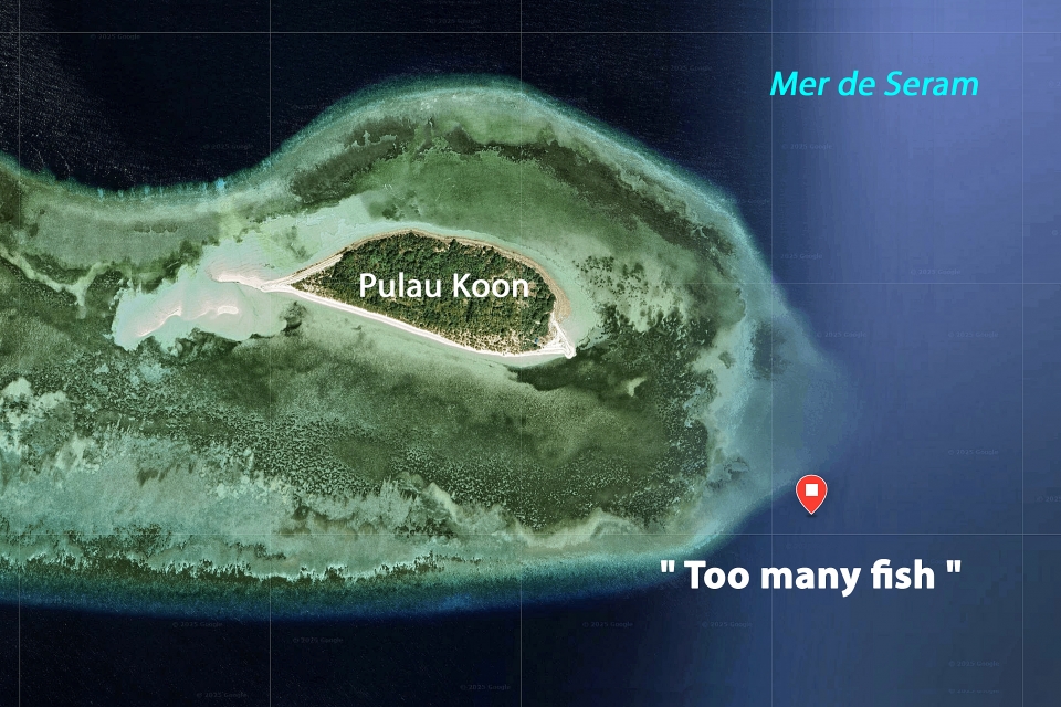 0d Too many fish, Seram, Moluques