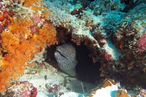 4 IMG_5907+8h08