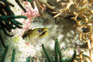 8 IMG_6054+15h56