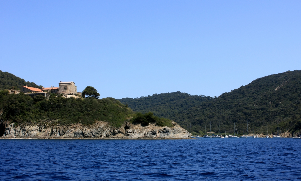 L'île de Porquerolles