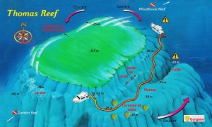 Site du détroit de Tiran, Spot "Thomas Reef" La Faille