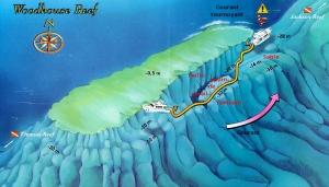 Site du Détroit de Tiran, Spot "WoodHouse Reef"