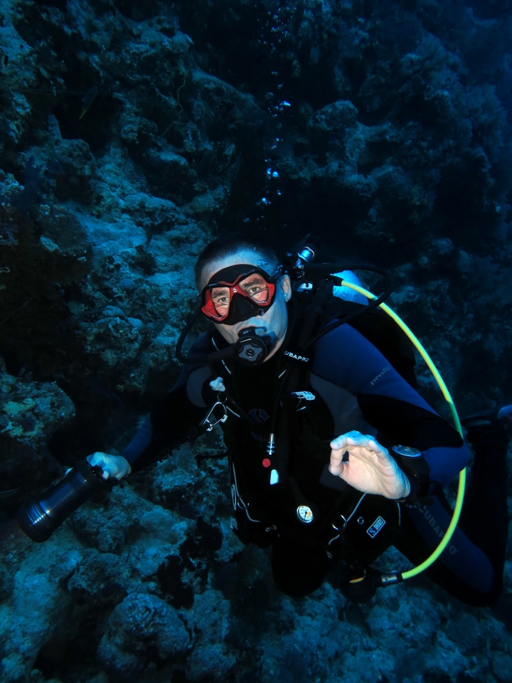 Site du sud Sinaï, Spot "Shark Reef et Yolanda Reef"