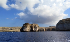 Fungus Rock