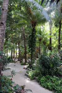 Allées traversant le complexe "Coco Grove Beach Resort"