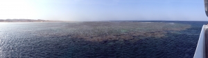 Panorama sur  le récif de Marsa Shoona