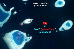 Spot " Anbara Thila "