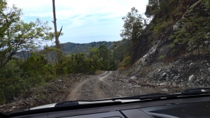 Un réseau routier fragilisé par la nature sauvage de la jungle