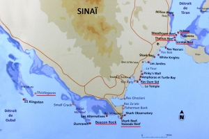 Spots de plongée du Sud Sinaï et du Détroit de Tiran