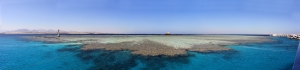 Site du détroit de Tiran, spot "Gordon Reef"