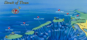 Spots de plongée du Détroit de Tiran
