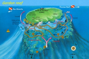 Site du Détroit de Tiran, Spot "Gordon Reef"