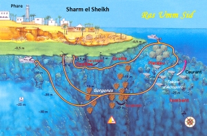 Site de Sharm el Sheikh, Spot "Ras Umm Si"