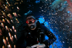 A travers les bancs de poissons de verre